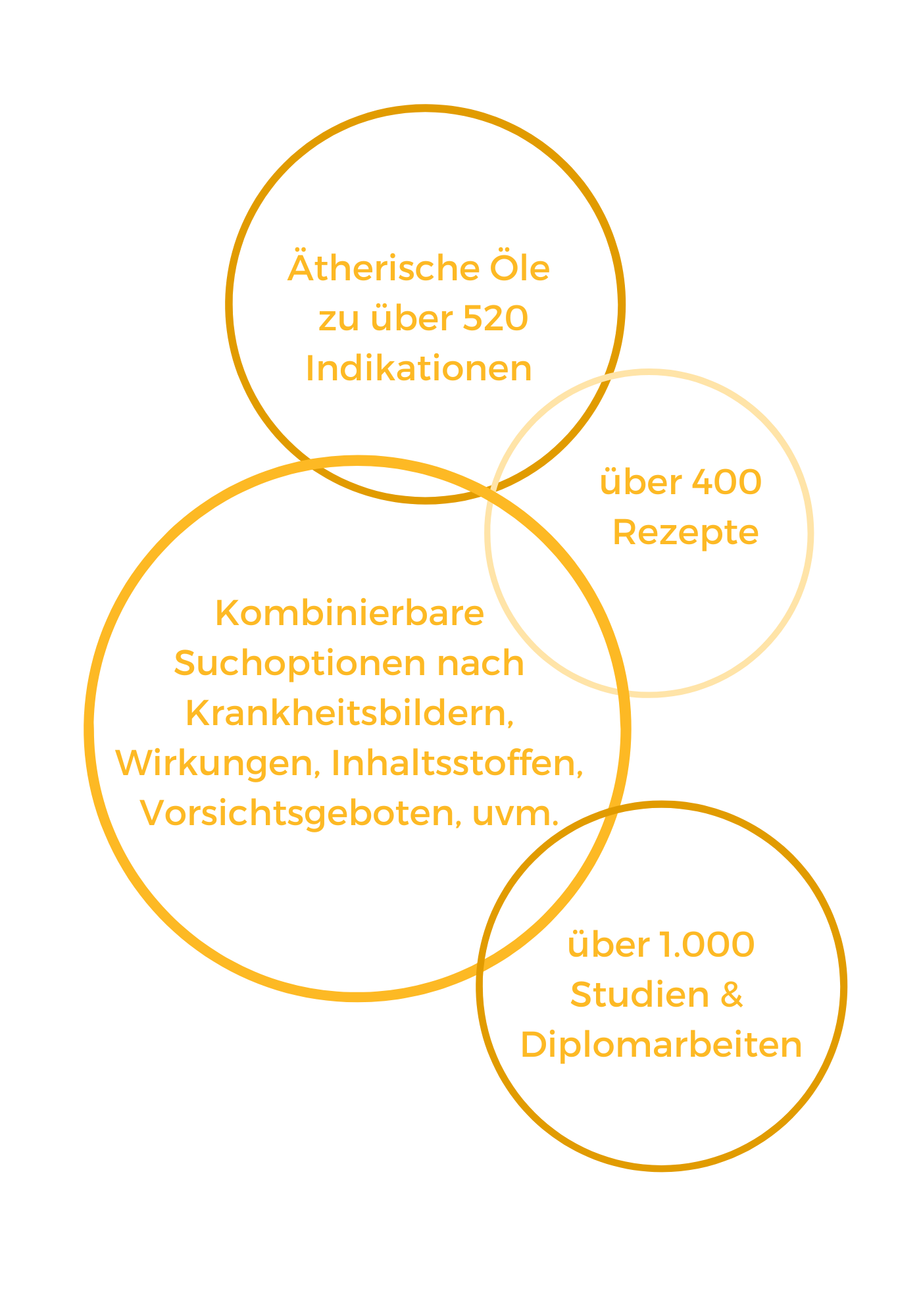 Datenbank_Home